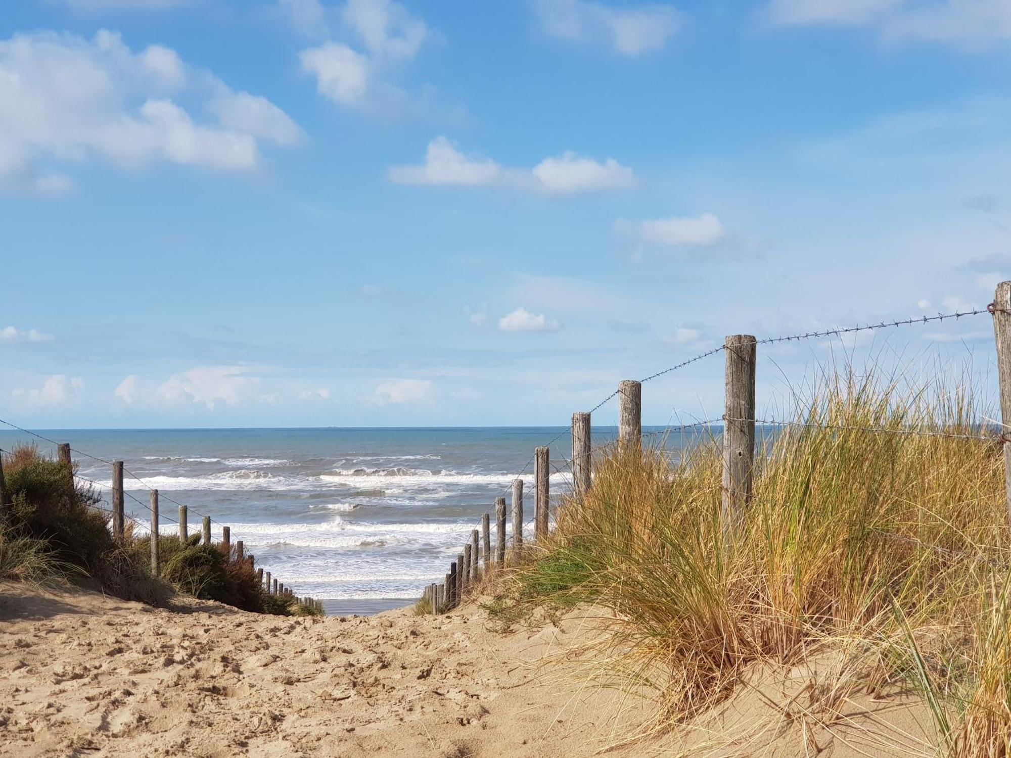 Hotel B&B Seahorse Katwijk aan Zee Екстер'єр фото