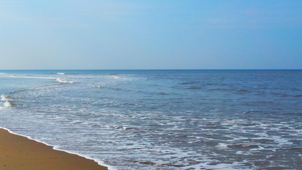 Hotel B&B Seahorse Katwijk aan Zee Екстер'єр фото